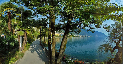 Les arbres fruitiers qui ornent les quais de Montreux vont être recensés